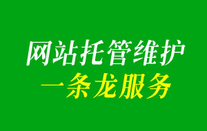 專業(yè)的網站托管服務提供商